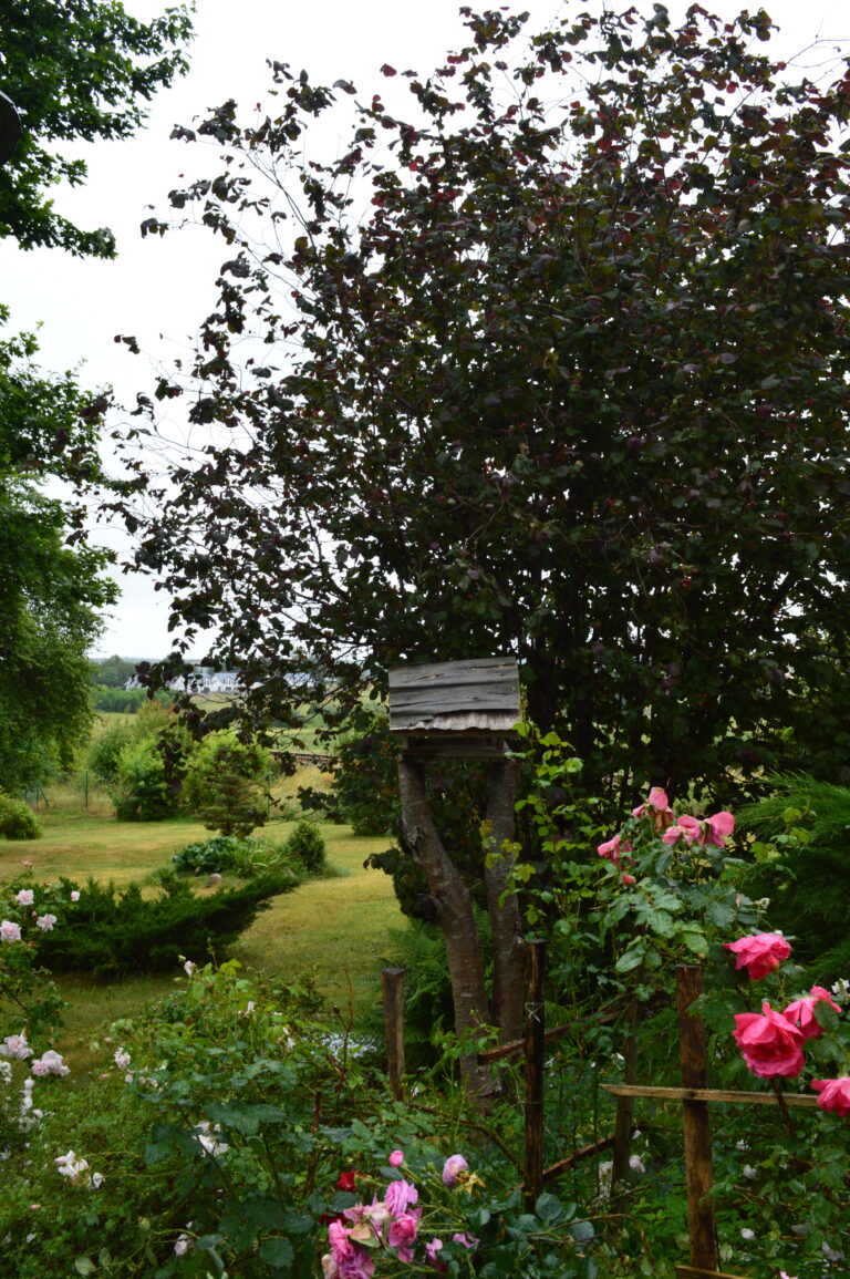 image00002