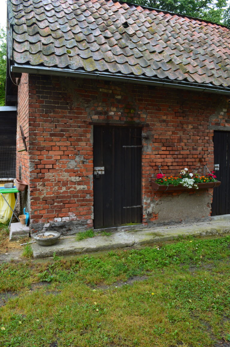 image00008