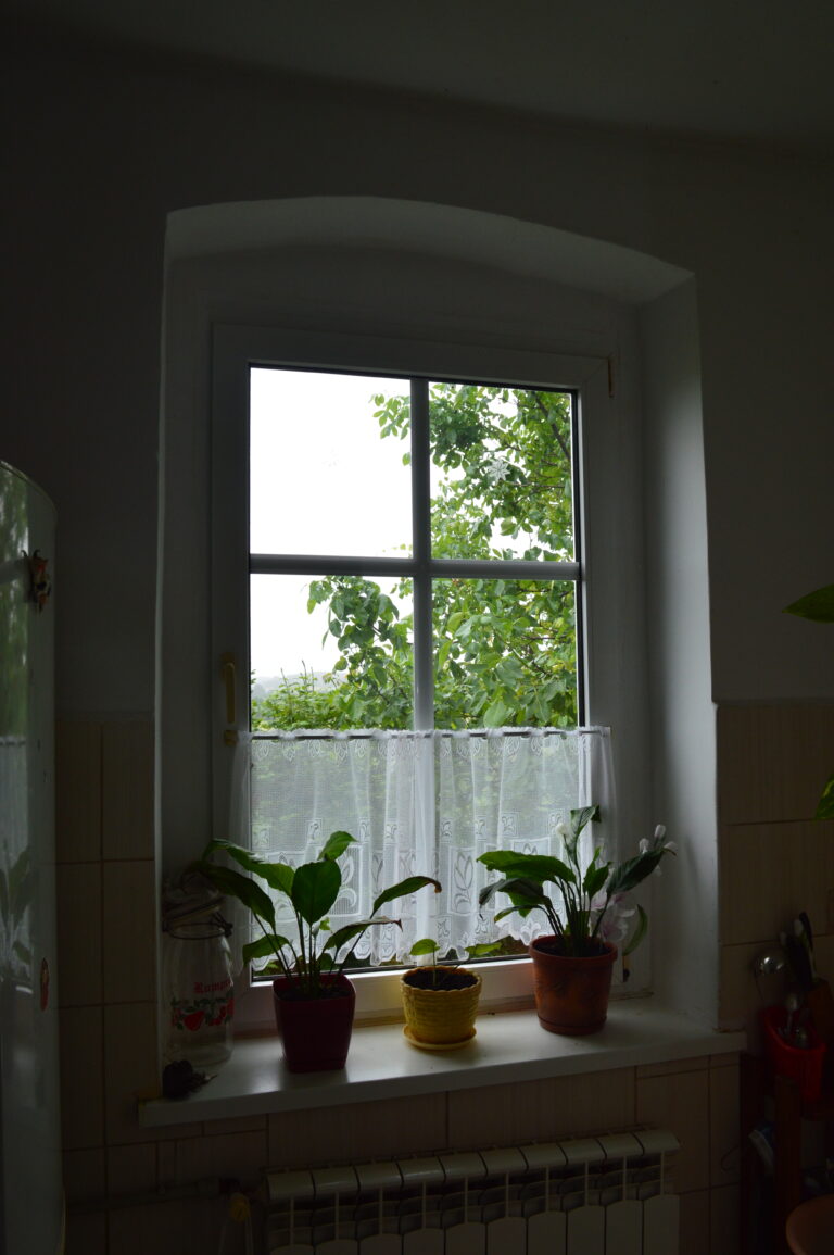 image00016
