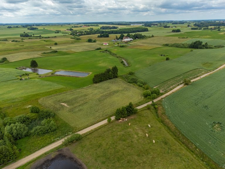 DJI 0545 HDR