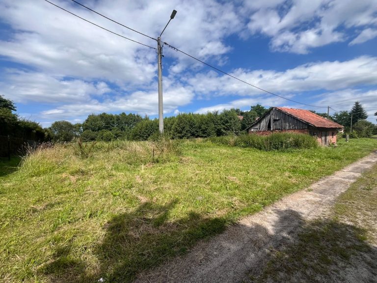 motion photo 2305969580882138813