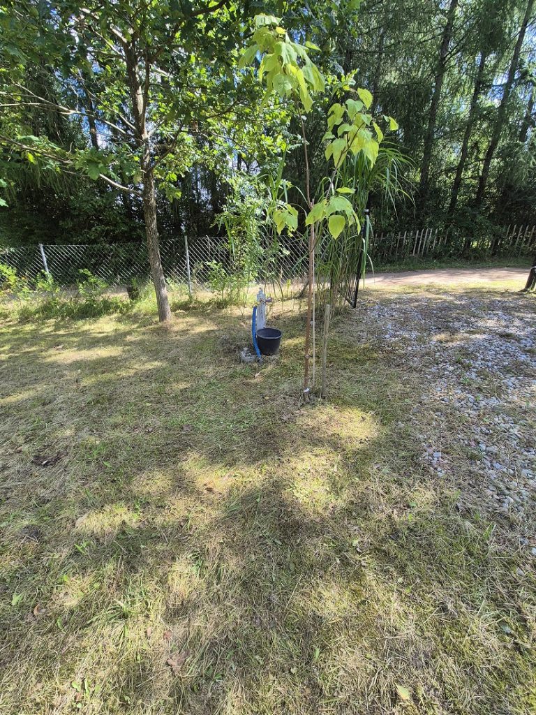 20260827 131959
